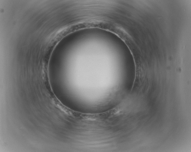 X0000060740773200511241637