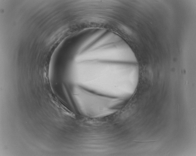 X0000060740774200511241637