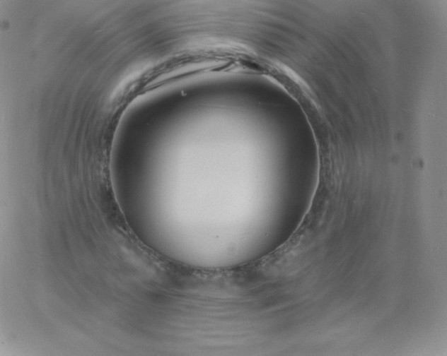 X0000060740775200511241637