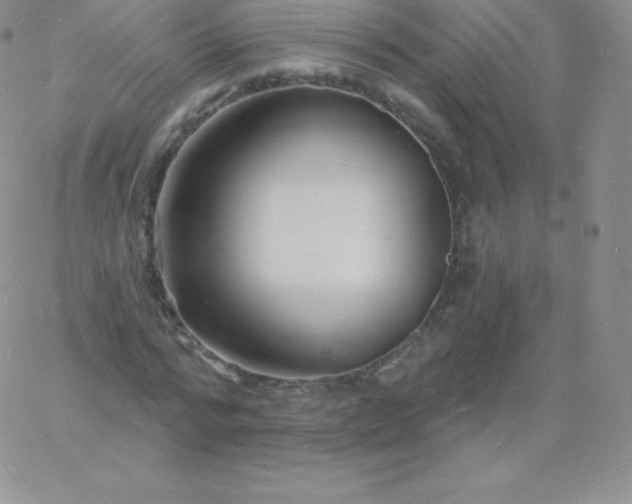 X0000060740776200511241637