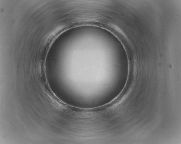 X0000060740777200511241637