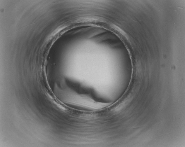 X0000060740778200511241637