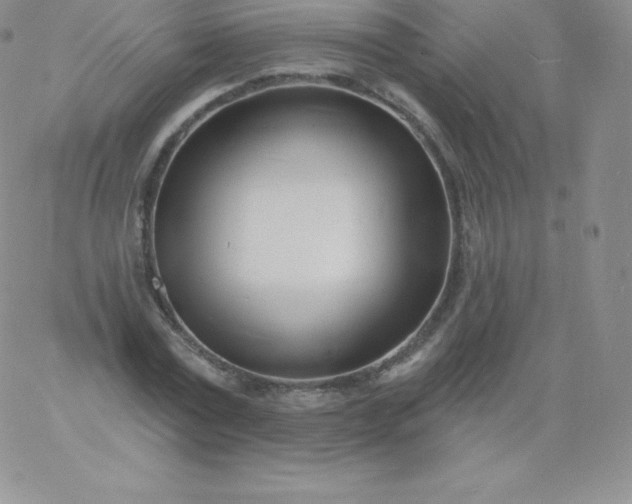 X0000060740779200511241637