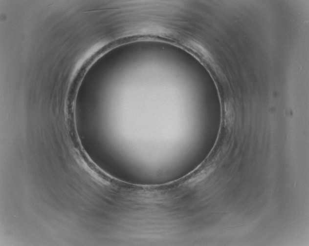 X0000060740780200511241637