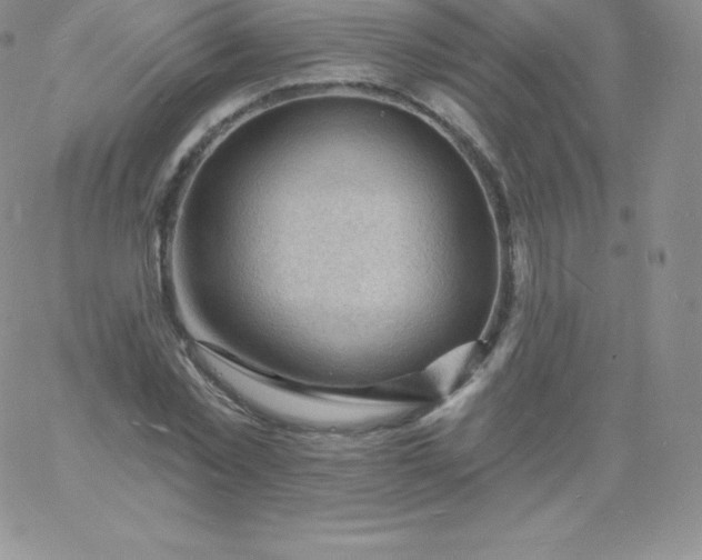 X0000060740781200511241637