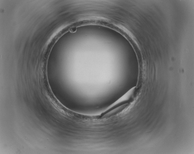 X0000060740783200511241637