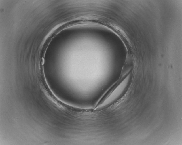 X0000060740784200511241637