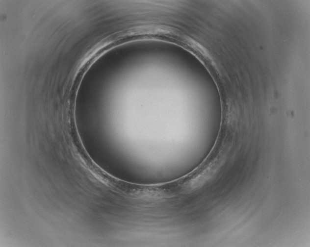 X0000060740786200511241637