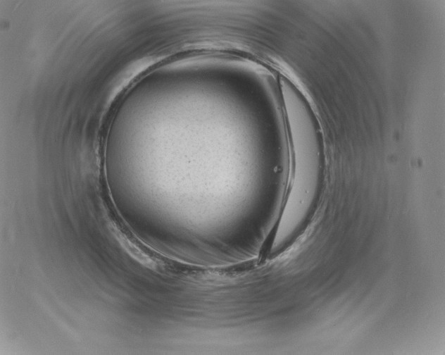 X0000060740787200511241637