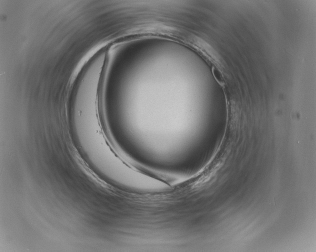 X0000060740788200511241637