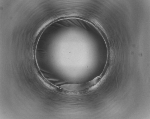 X0000060740789200511241637