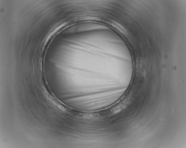 X0000060740790200511241637