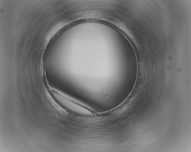 X0000060740791200511241637