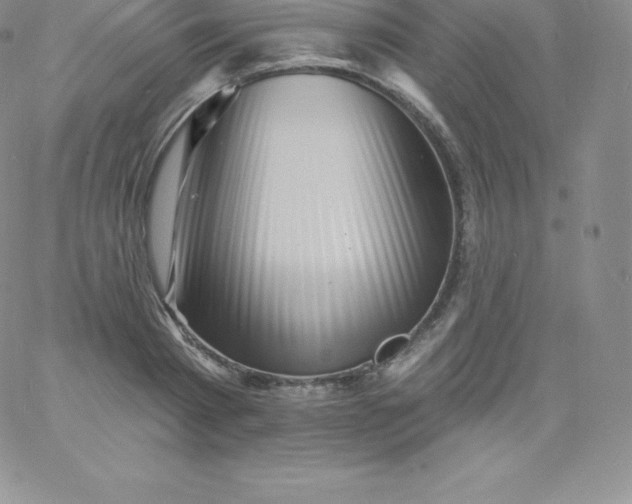 X0000060740793200511241637