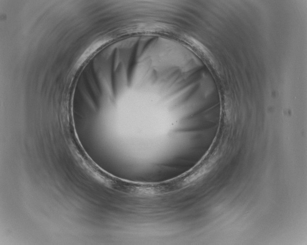 X0000060740794200511241637