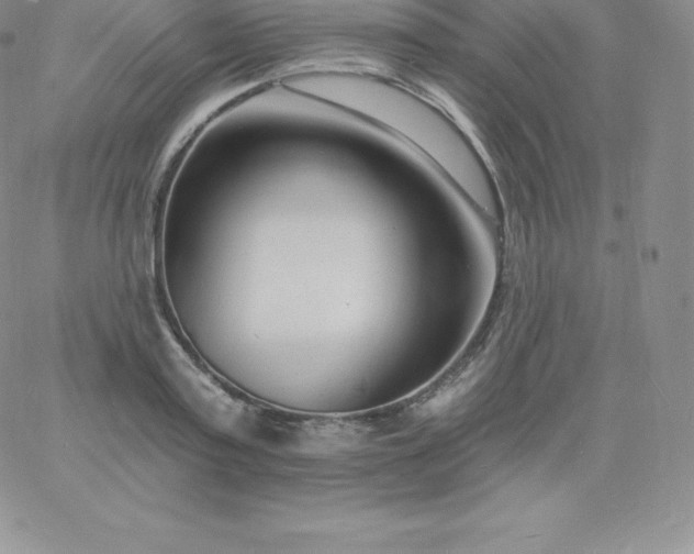 X0000060740795200511241637