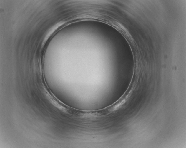 X0000060740796200511241637