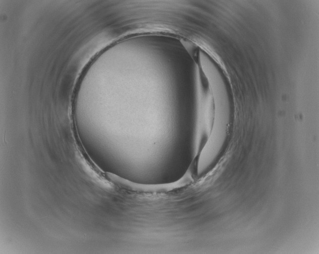 X0000060740797200511241637