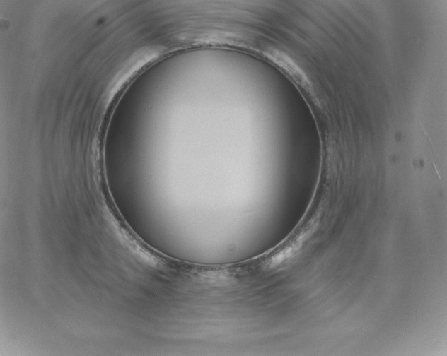 X0000060740798200511241637