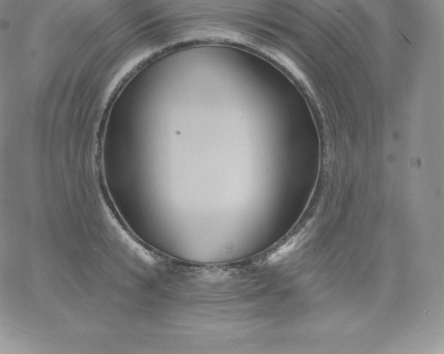 X0000060740799200511241637