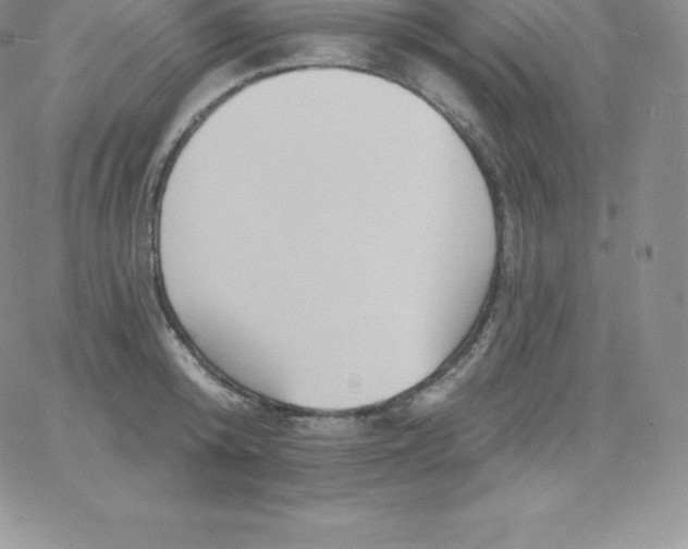 X0000060740800200511241637