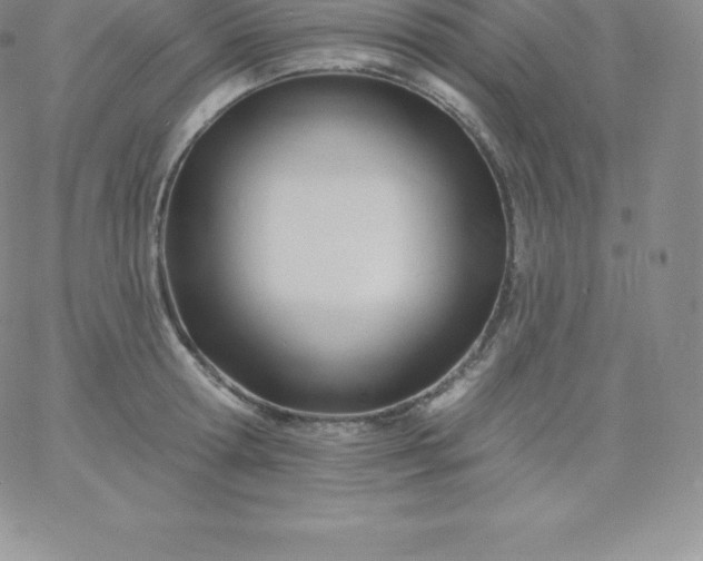 X0000060740802200511241636