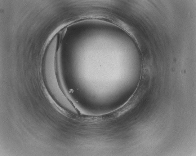 X0000060740803200511241636