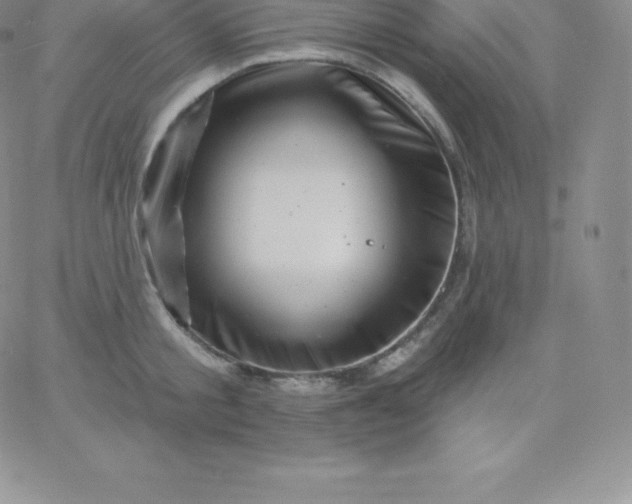 X0000060740805200511241636