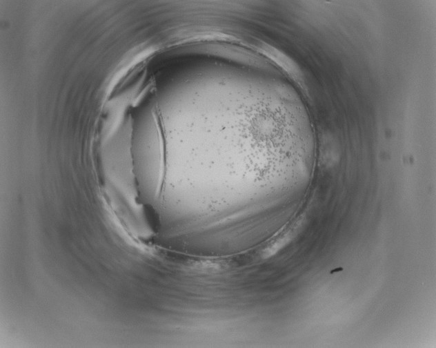 X0000060740806200511241636