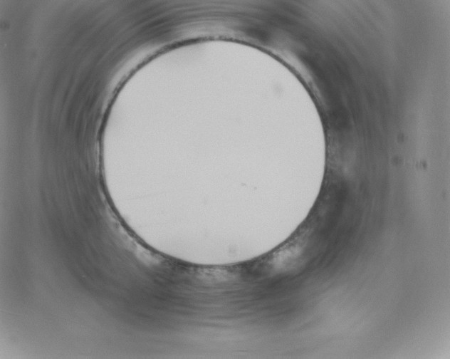 X0000060740807200511241636