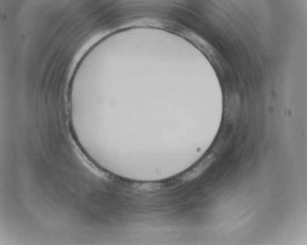 X0000060740808200511241636