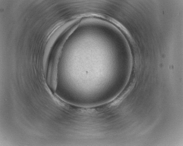 X0000060740809200511241636