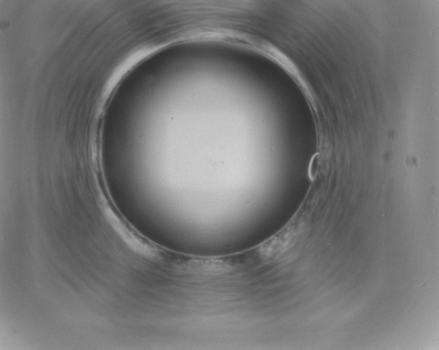 X0000060740811200511241636