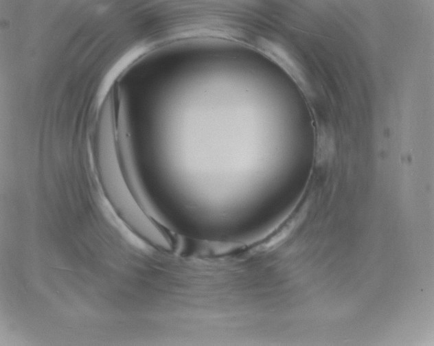 X0000060740812200511241636