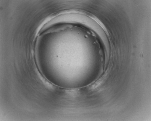 X0000060740813200511241636