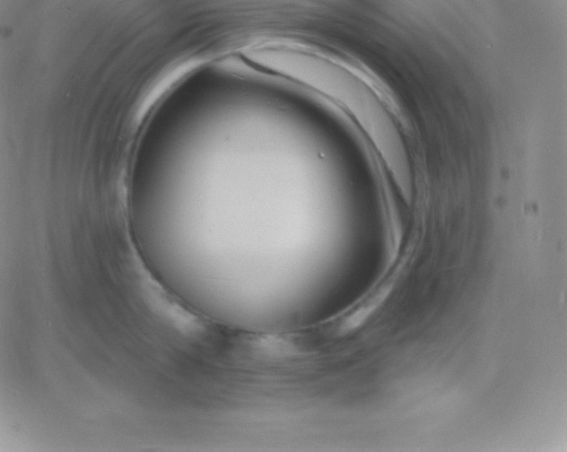 X0000060740814200511241636