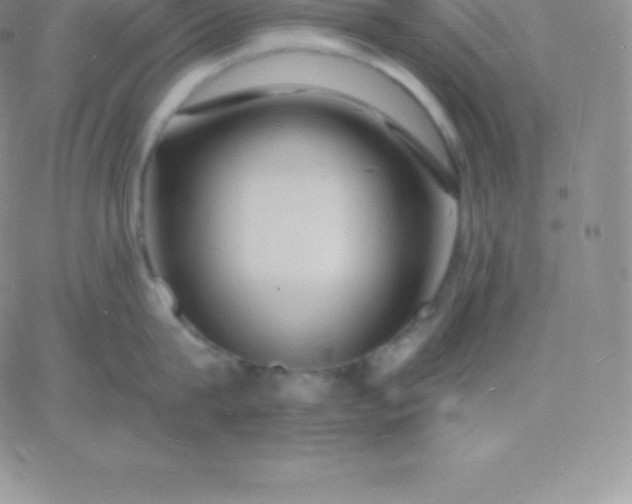 X0000060740815200511241636