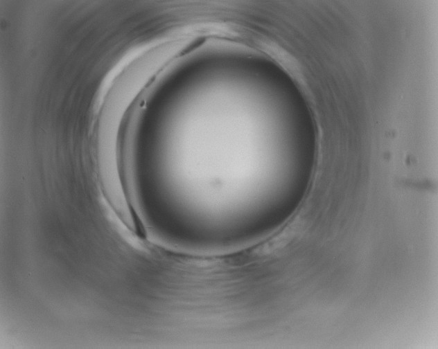 X0000060740816200511241636