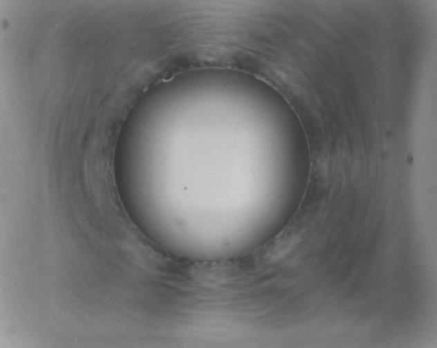 X0000060740817200511241635