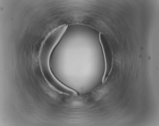 X0000060740818200511241635