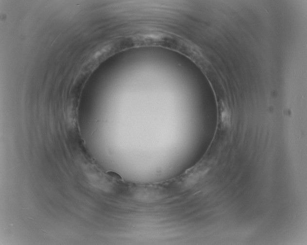 X0000060740819200511241635