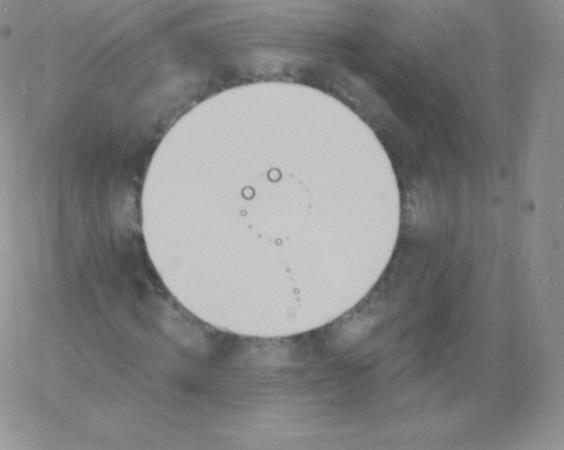 X0000060740820200511241636