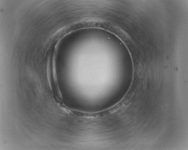 X0000060740821200511241636