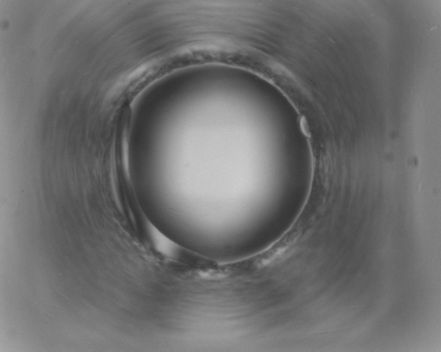 X0000060740822200511241636