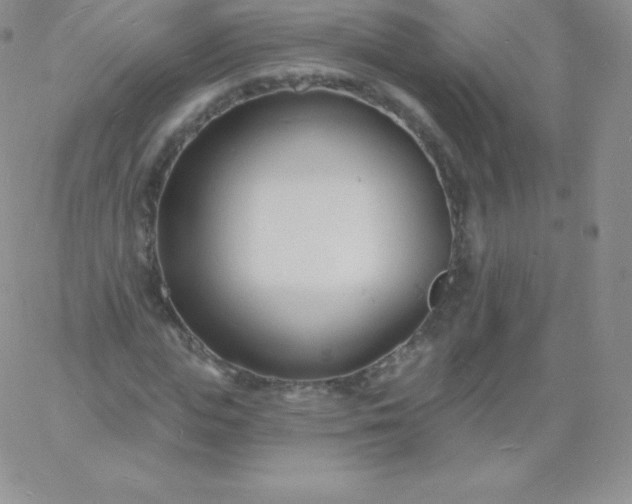 X0000060740823200511241636