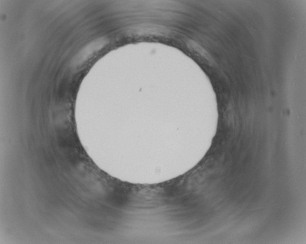 X0000060740824200511241636