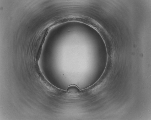 X0000060740825200511241636