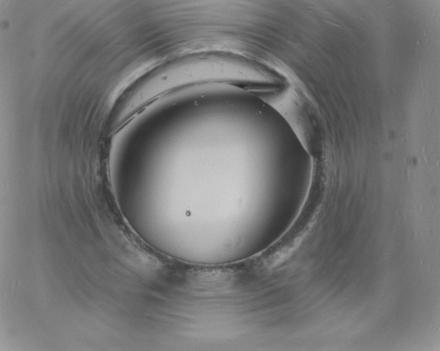 X0000060740826200511241636