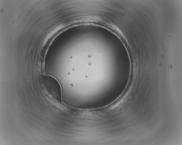 X0000060740827200511241636