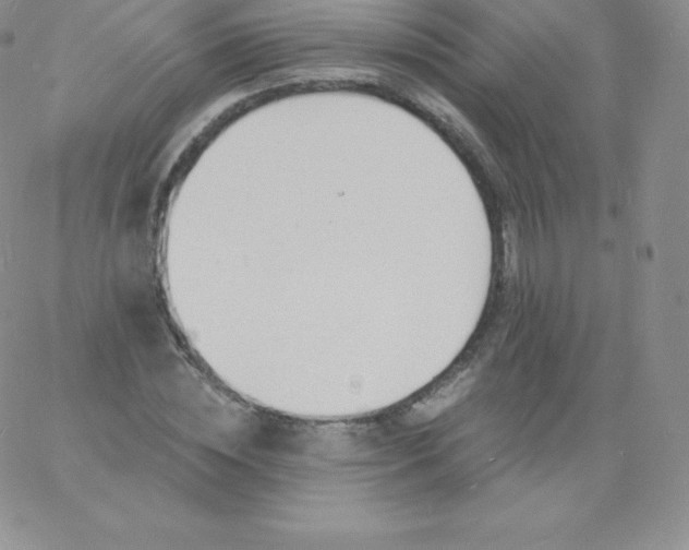 X0000060740828200511241636